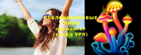 а пвп мука Белокуриха