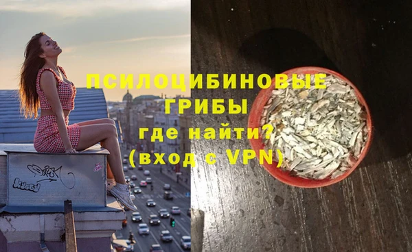 ALPHA-PVP Богородицк