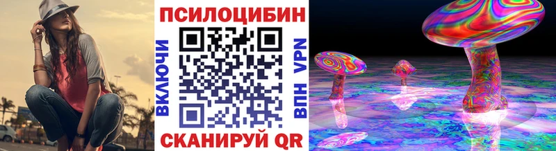 Купить закладки  Кстово  Галлюциногенные грибы Cubensis 